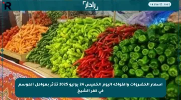 أسعار الخضروات والفواكه اليوم الخميس 24 يوليو 2025 تتأثر بعوامل الموسم في كفر الشيخ